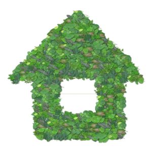 vad ska jag göra med mitt liv