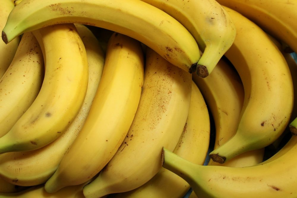 vegetarisk alternativ till kött