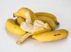 hälsosamma recept